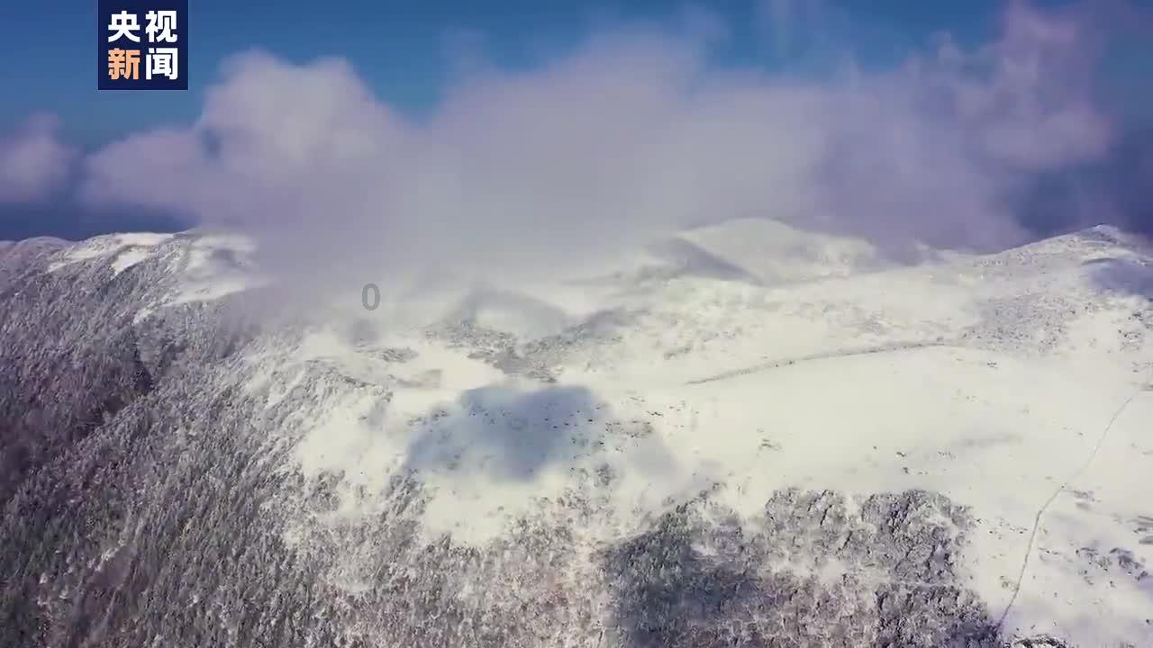 戏剧巅峰，文学明珠